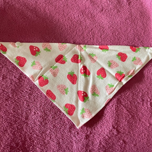 Dog accessories Each $8 - Picture 3 of 5